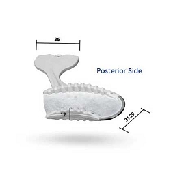 DXM Disposable Bite Trays Posterior 50pk